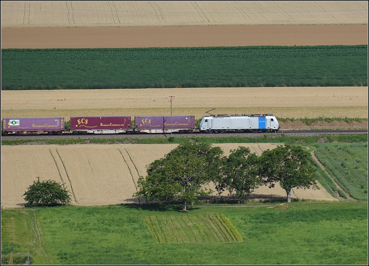 Unter dem gestrengen Blick des Osterhasen... 

Der Blick aus den Weinbergen in Auggen in die Felder des Markgräfler Landes zeigt schon erste Vorbereitungen der Neubaustrecke für die Vierspurigkeit von Schliengen bis Buggingen. Eine 186 der Railpool ist nordwärts unterwegs. Juli 2020.