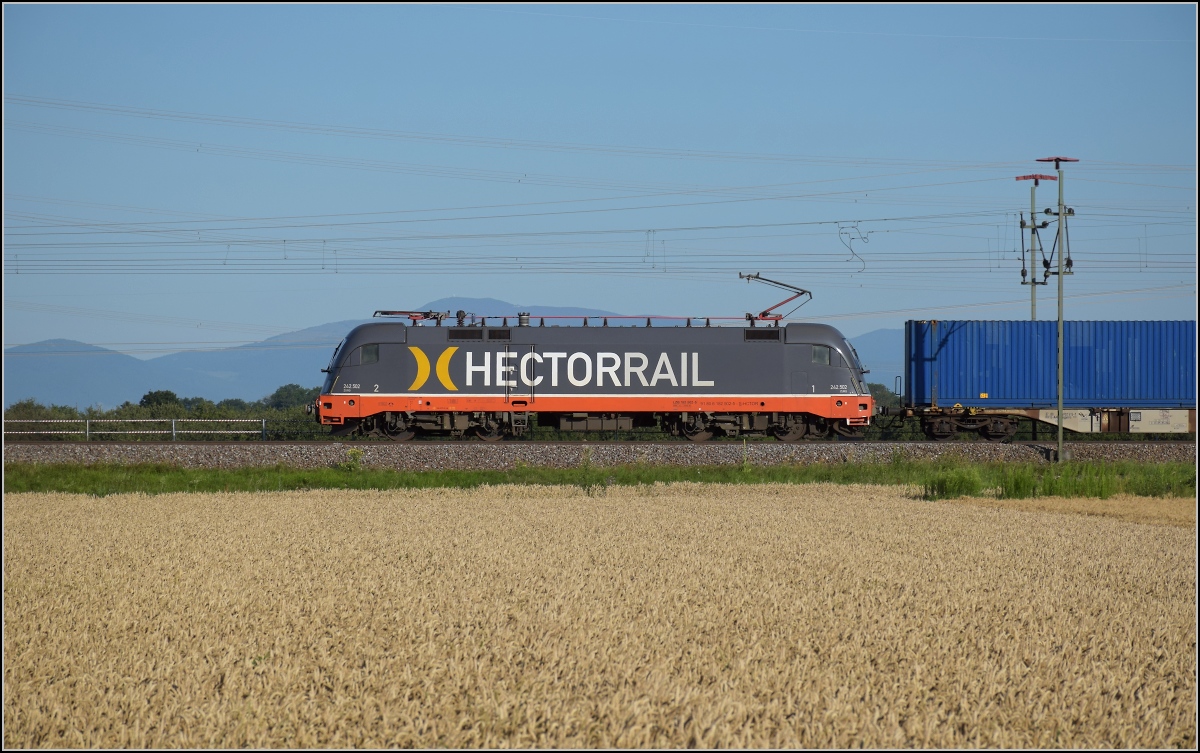 Unter dem gestrengen Blick des Osterhasen... 

Der Hectorrail-Taurus 182 502 ist bei Auggen südwärts unterwegs. Er hört auch auf 242.502 und den Rufnamen  Zurg . Juli 2020.
