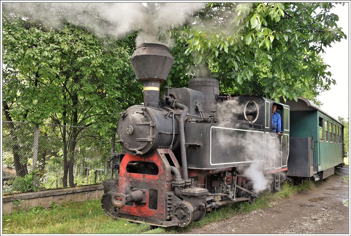 Unter Kirschen- und Walnussbumen hindurch bahnt sich 764.243 ihren Weg durch die Strada Ardealului in Brad. (16.07.2017)