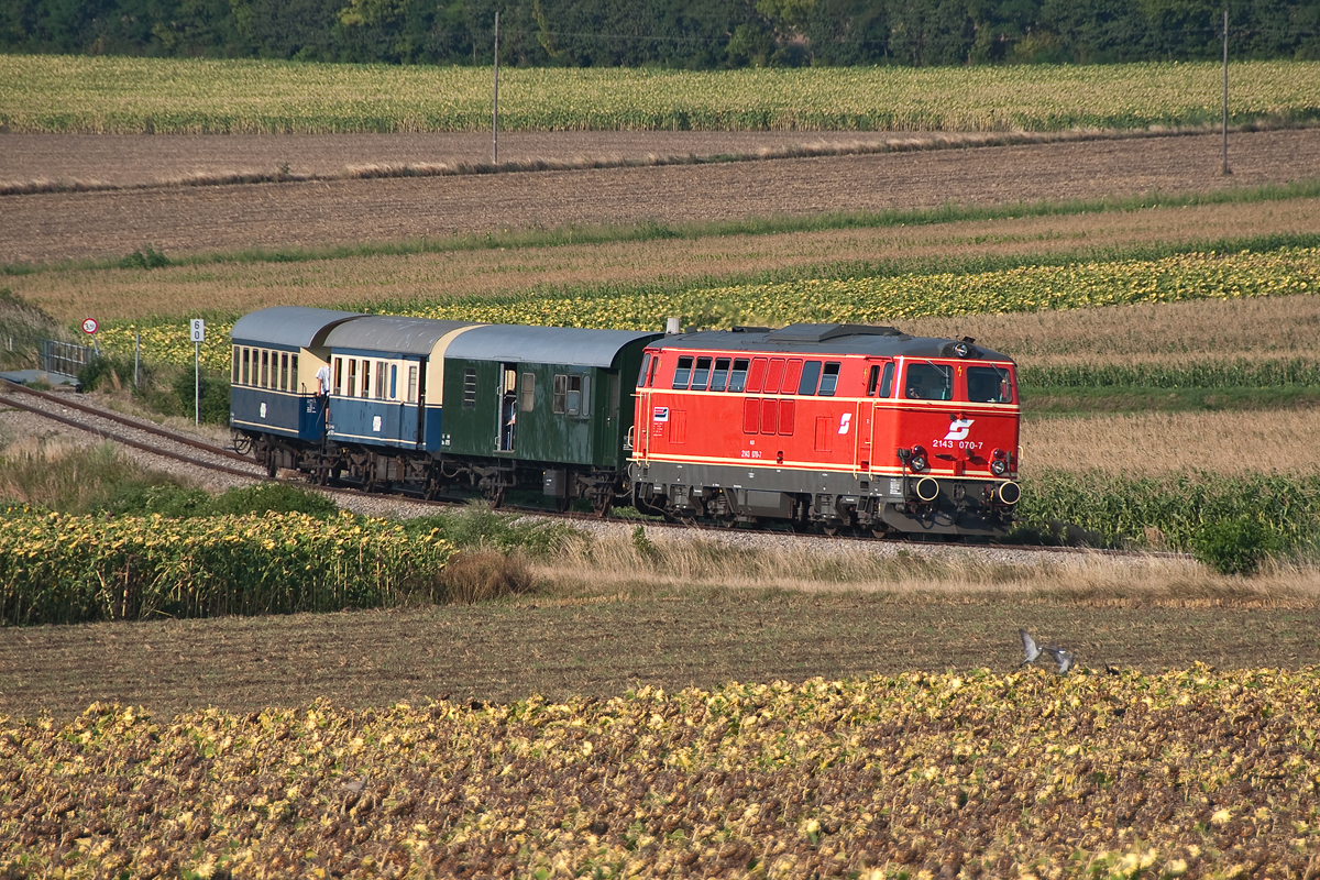 Unter sengender Hitze bringt die BR 2143 070 den Nostalgie Express  Leiser Berge  von Ernstbrunn nach Wien Praterstern. Die Aufnahme entstand kurz vor Stetten Fossilienwelt, am 08.08.2015.