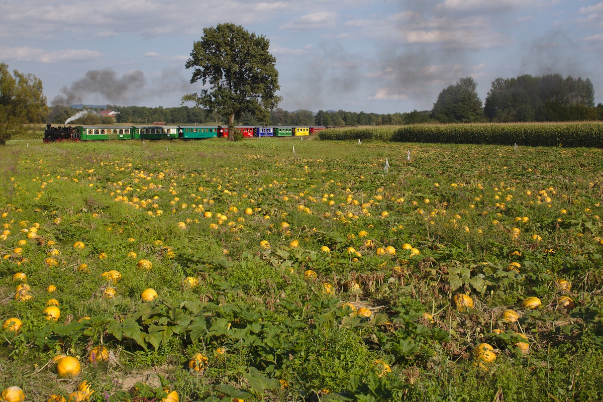 Unterwegs mit HP ist diese Aufnahme vor einem Kürbisfeld zwischen Kraubath und Neudorf entstanden. (24.08.2016)