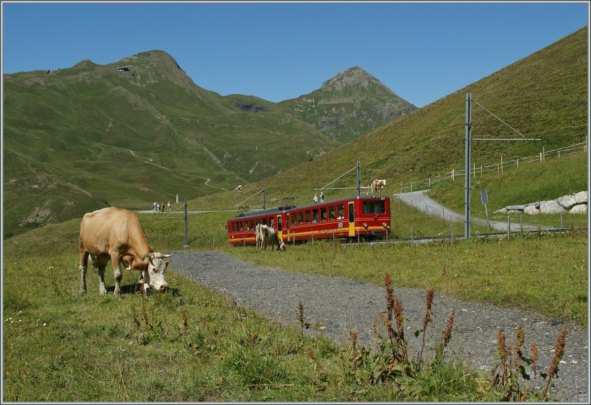 Unterwegs zum Jungfraujoch: JB Pendelzug zwischen der Kleinen Scheidegg und Eigergletscher. 21. August 2013 