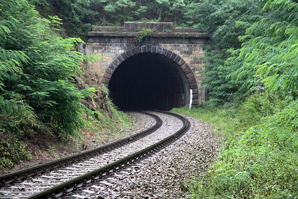 Unweit der Haltestelle Radostice liegt das Südportal des 85 m langen Maly Prsticky Tunnel.

Bild vom 07.September 2019.