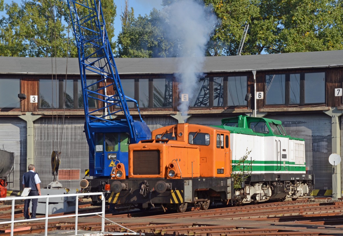 V 23 004 versuchte am 26.09.15 die ebenfalls im Bahnbetriebswerk Wittenberg-Altstadt beheimatete V 100 003 auf die Drehscheibe zu ziehen, was aber leider nicht gelang.  