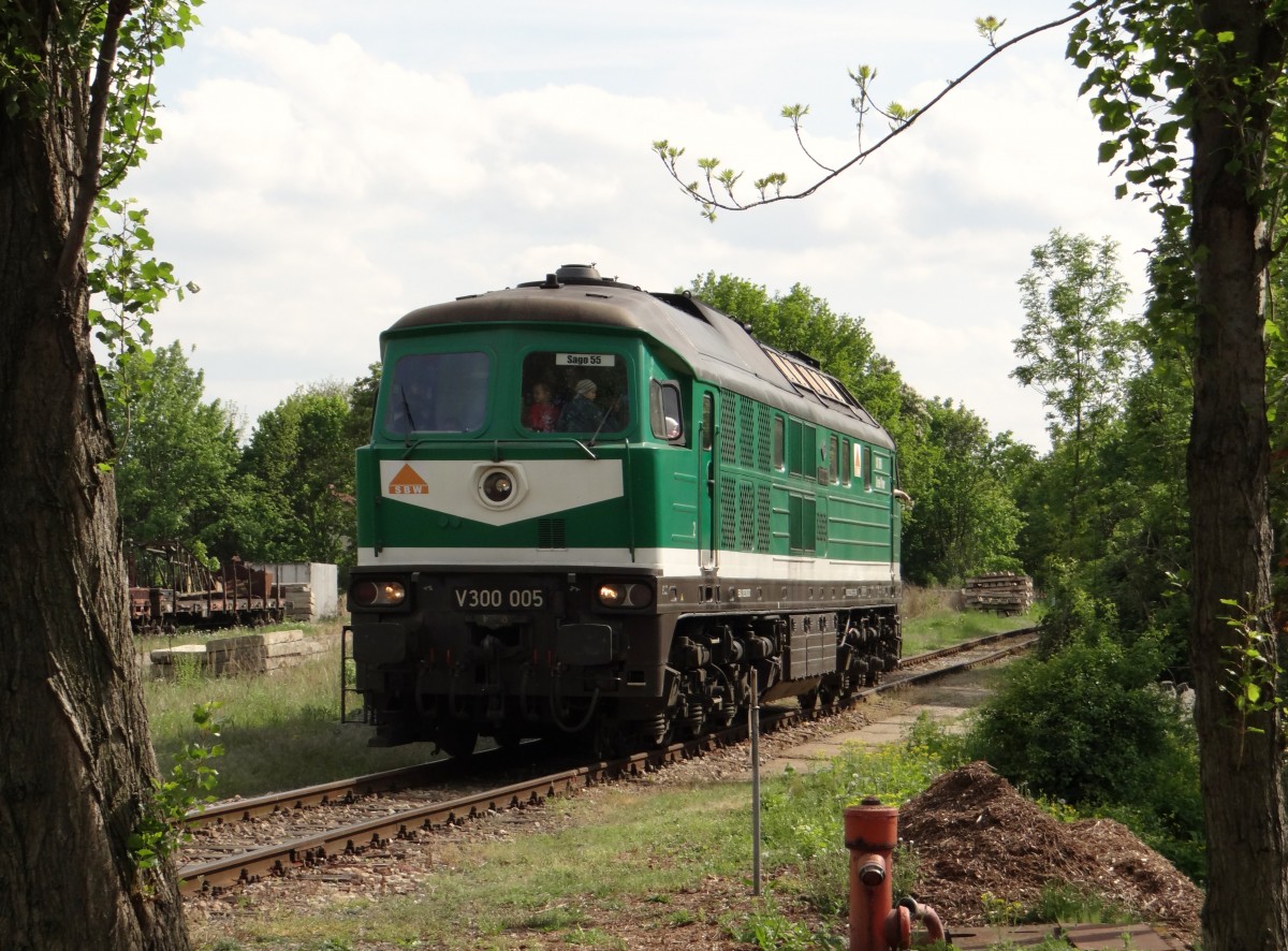 V 300 005 der SBW (ehem. Wismut) war am 04.05.14 bei den Geraer Eisenbahnwelten als Lok für Führerstandsmitfahrten eingesetzt.