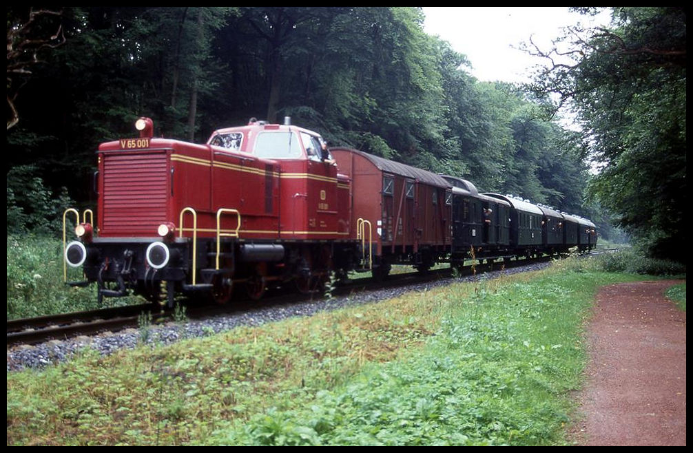 V 65001 der Osnabrücker Dampflokfreunde war am 5.8.2001 mit einem Sonderzug am Ortsrand von Bad Bentheim auf der Bentheimer Eisenbahn nach Nordhorn unterwegs. 
