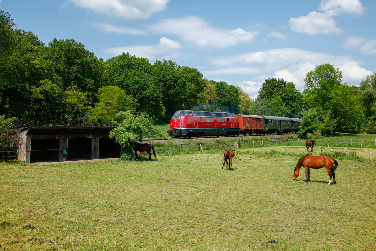 V200 033 DB mit Sonderzug auf der Angertalbahn, Mai 2019.
