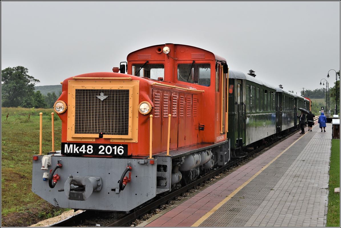 Vál-völgyi Kisvasút mit Mk48 2012 und 2016 im Sandwichbetrieb auf der 760mm Schmalspurbahn von Viktor Orban bei Felcsút. (09.06.2018)