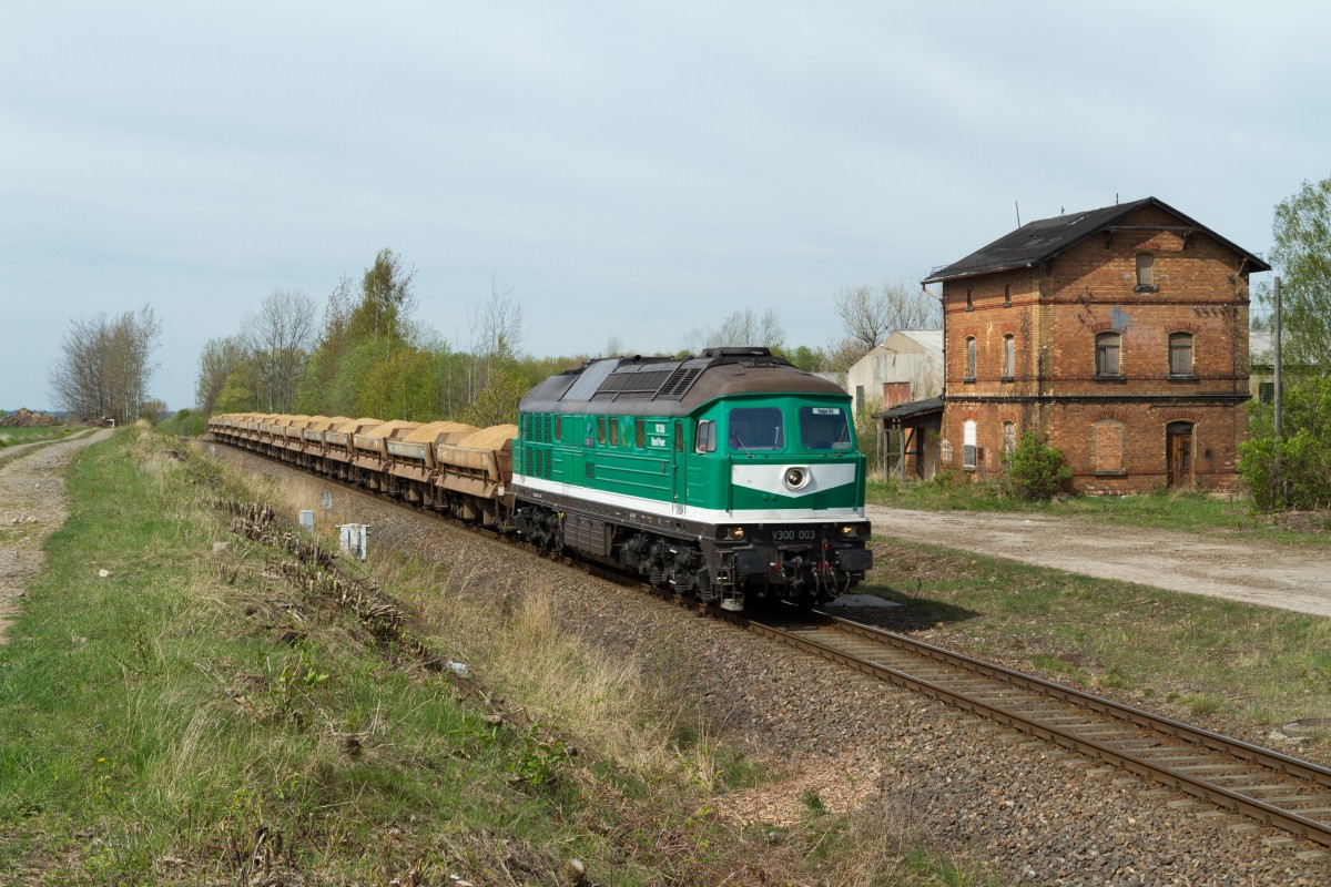 V300 003 der Wismut GmbH passiert der alte bahnhof Beerwalde mit ein Sandvollzug nach Seligstädt, kommend aus Kayna. 17 April 2014.