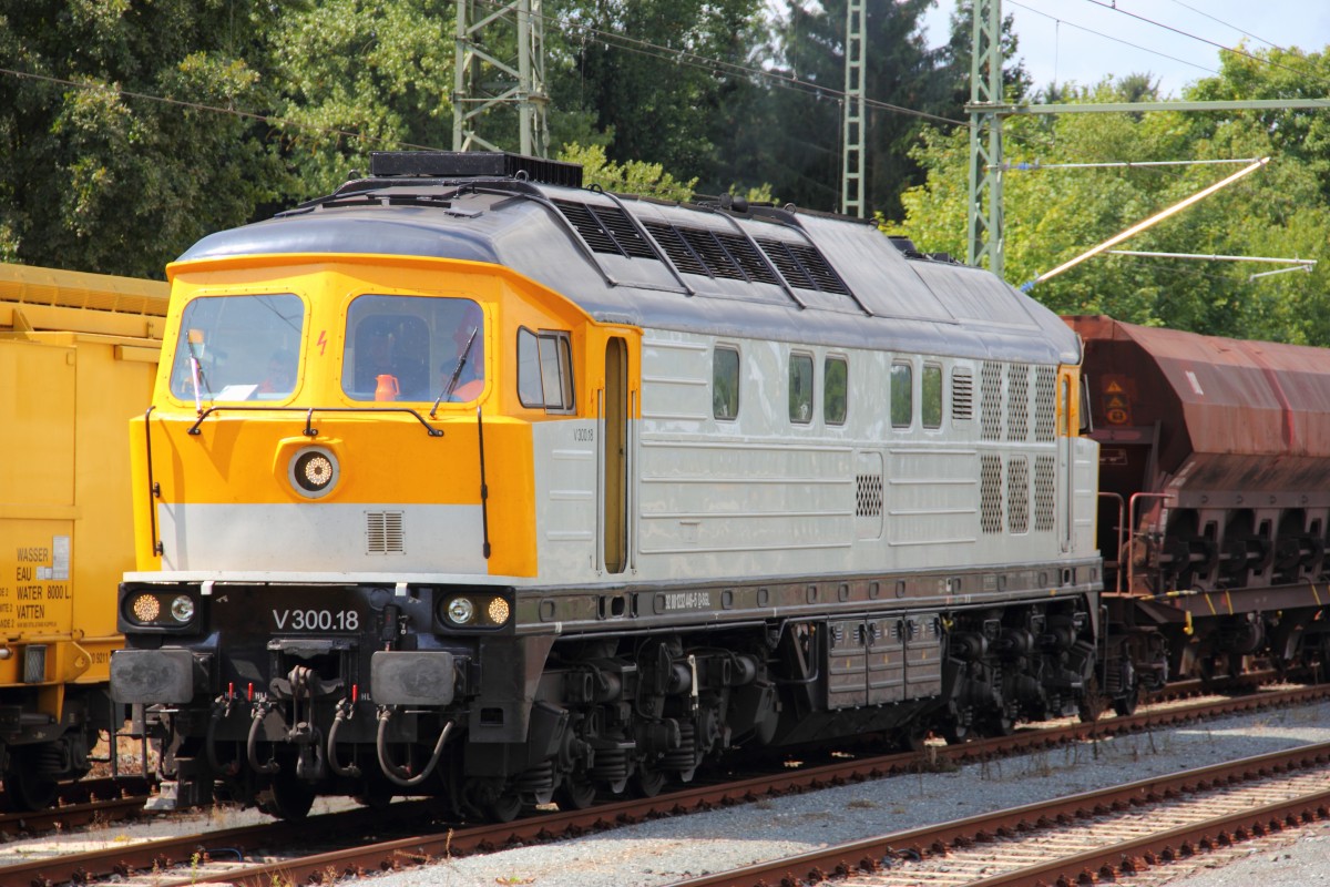 V300.18 SGL in Hochstadt/ Marktzeuln am 22.08.2014.
