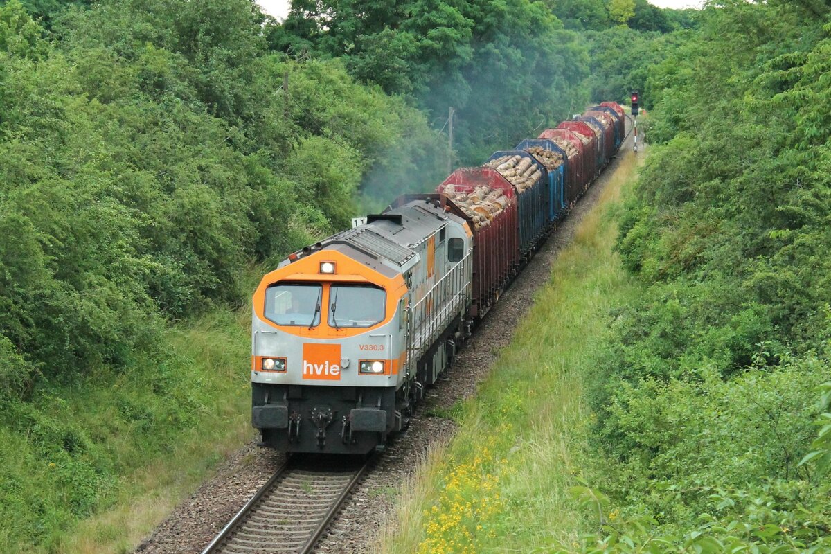 V330.3 (92 80 1250 011-4 D-HVLE) der Havelländischen Eisenbahn (HVLE) am 6.7.2021 mit einem Holzzug aus Triptis. Hier bei der Unterquerung der Landwirtschaftsbrücke zwischen Oppurg und Pößneck
