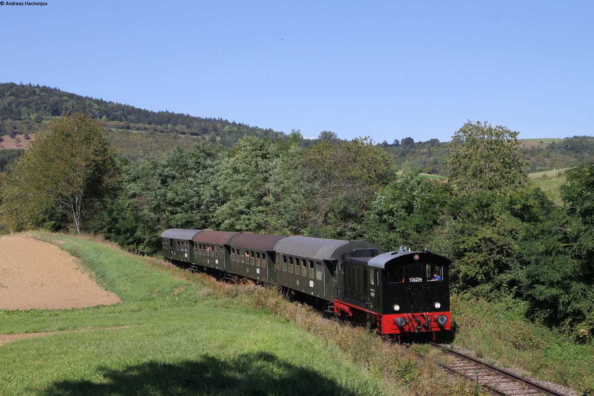 V36 204 mit dem Nachmittagszug nach Weizen bei Fützen 15.9.19