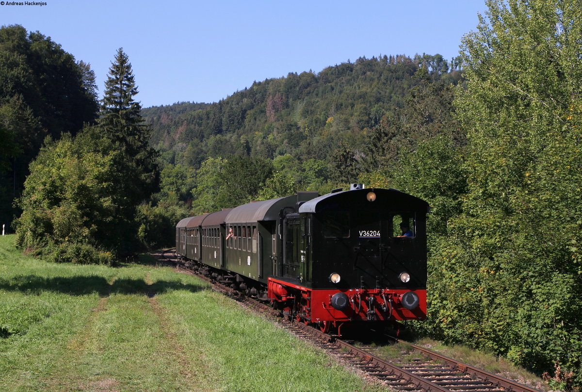 V36 204 mit dem Nachmittagszug nach Weizen bei Lausheim 15.9.19