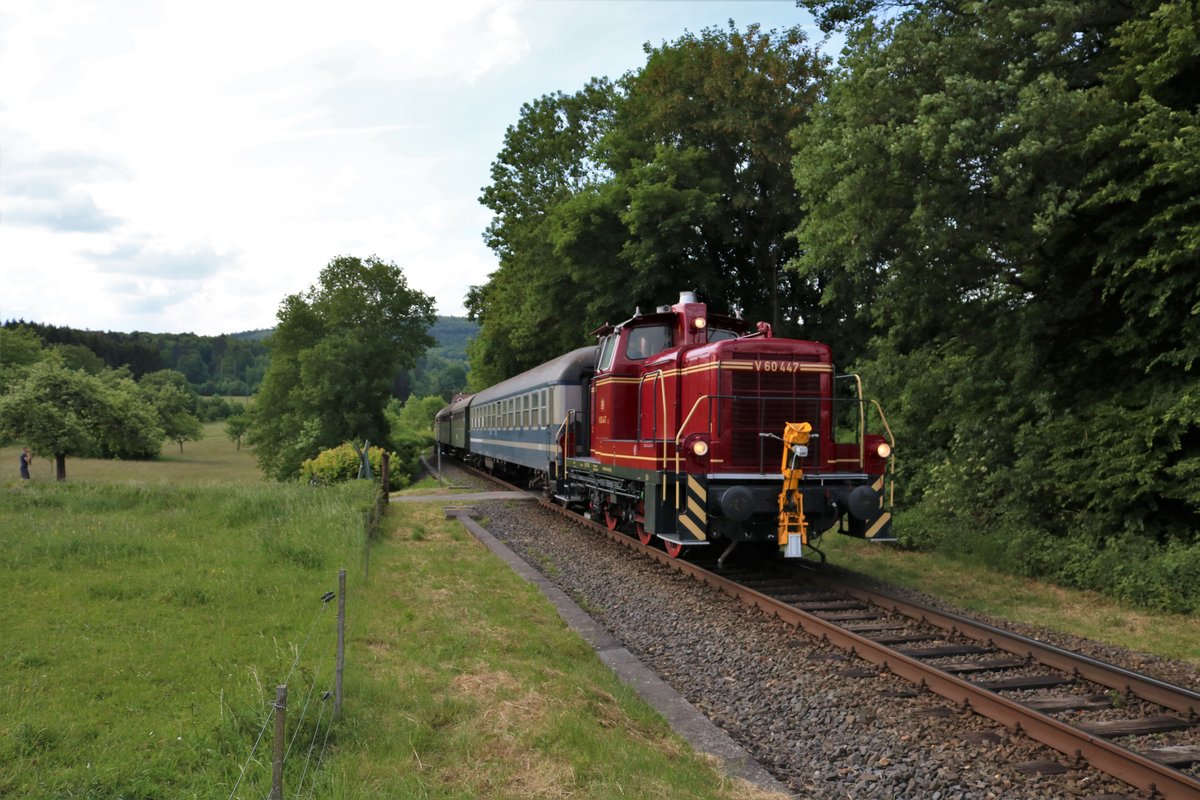 V60 447 mit Sonderzug und V36 406 am Ende am 21.05.18 kurz vor Königstein 