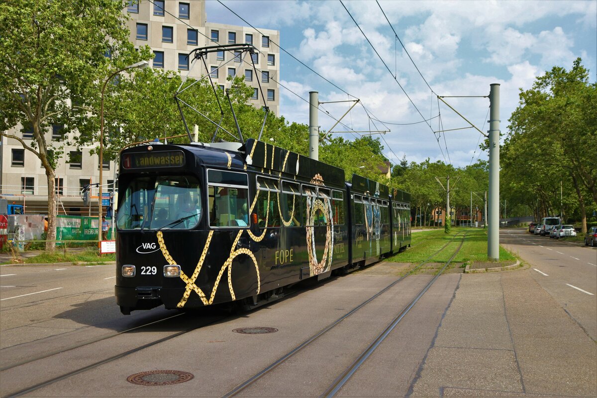 VAG Freiburg Düwag GT8N Wagen 229 am 11.07.23 in Freiburg