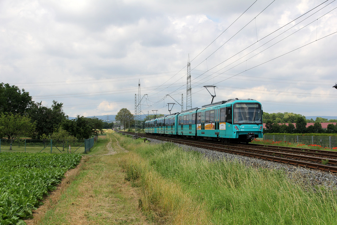 Verkehrsgesellschaft Frankfurt 812 // Frankfurt (Main) Nieder-Eschbach // 29. Juni 2021