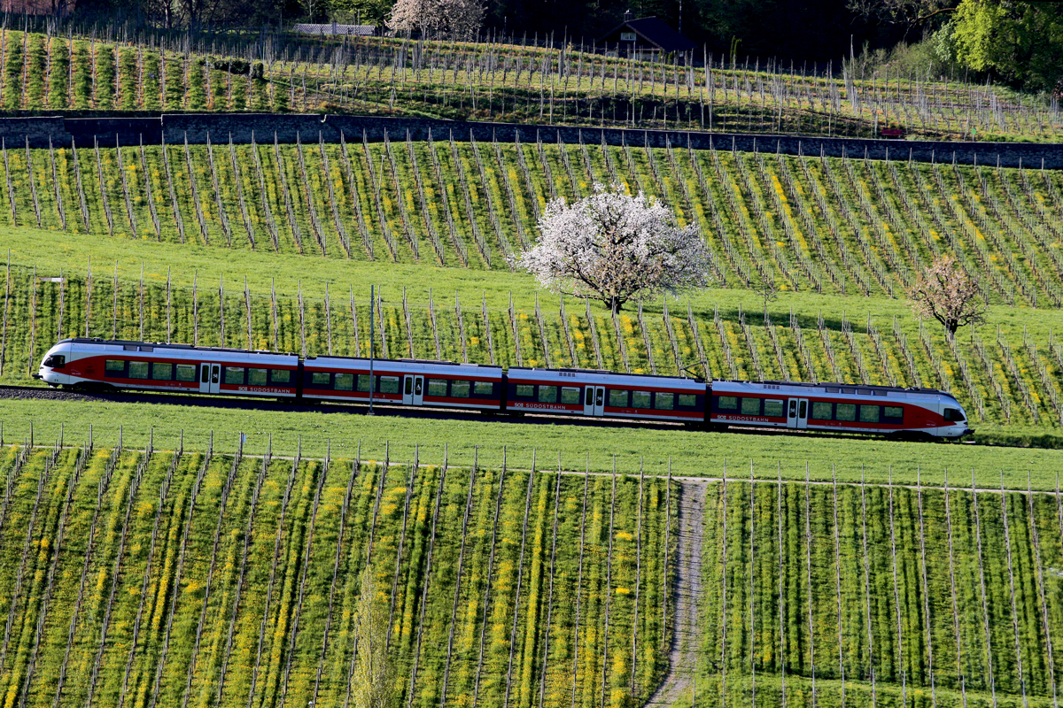 Version 1 / RABe 526 Flirt Triebzug fährt als S 40 durch die Weinberge in Freienbach.Bild vom 22.4.2015
