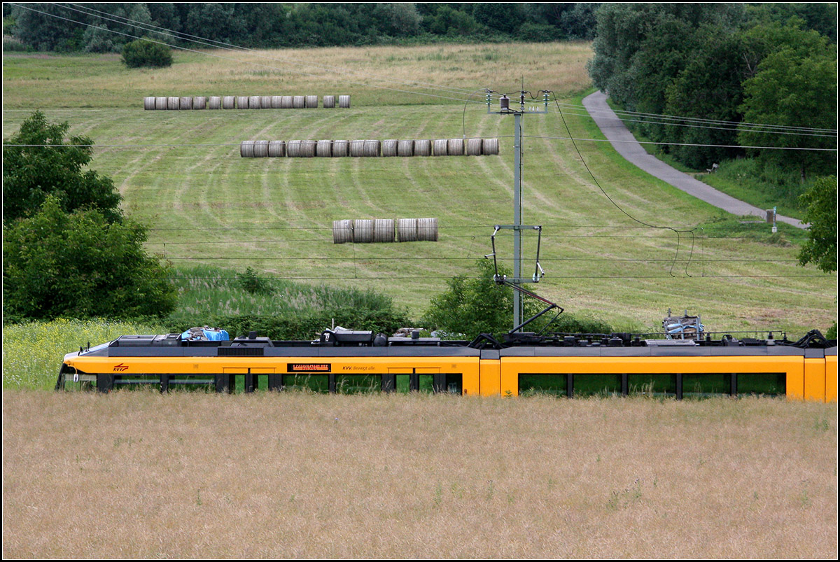 Versteckt inmitten Felder und Wiesen -

Ein Karlsruher Stadtbahnzug südlich von Ubstadt.

26.06.2012 (M)