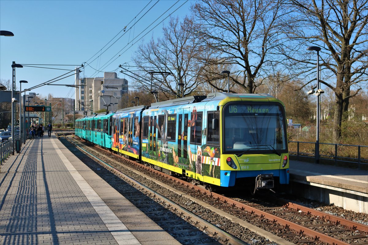 VGF Bombardier U5-25 Wagen 658 am 29.03.19 in Frankfurt Industriehof mit der Senckenberg Werbung  