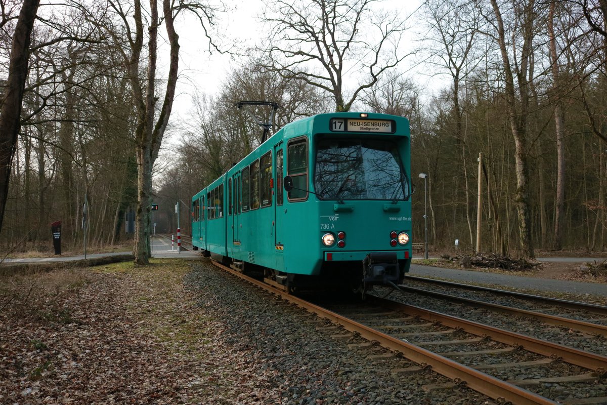 VGF Düwag Pt Wagen 736 am 22.02.21 in Frankfurter Stadtwald