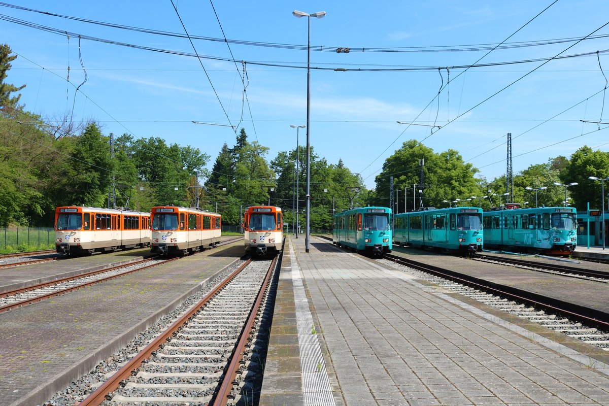 VGF Düwag Pt Wagen Parade mit allen betriebsfähigen Wagen 128+138+148+720+727+2050(Schneebär) am 01.06.19 bei einer Sonderfahrt in Frankfurt am Main Stadion. Das Betriebsgelände war für die Fotografen abgesperrt 