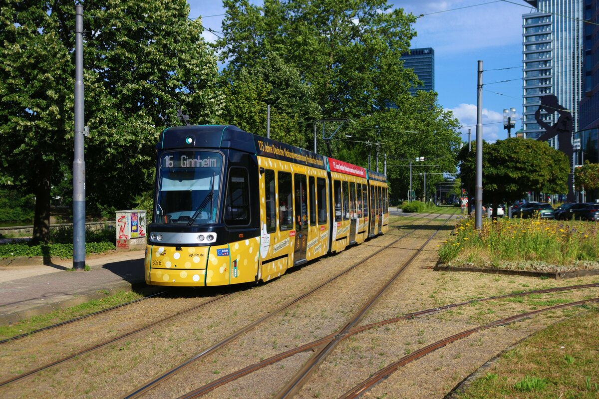 VGF Straßenbahn Frankfurt Alstom Citadis SX05 T-Wagen 305 am 17.07.23 in Frankfurt am Main