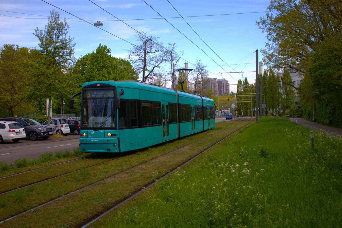 VGF Straßenbahn Frankfurt am Main Bombardier Flexity Classic S-Wagen 234 am 19.04.25 in der nähe der Uniklinik