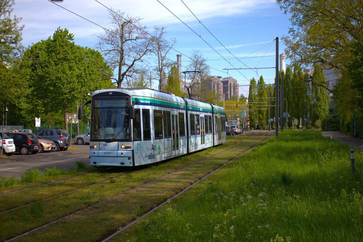 VGF Straßenbahn Frankfurt am Main Bombardier Flexity Classic S-Wagen 227 am 19.04.25 in der nähe der Uniklinik