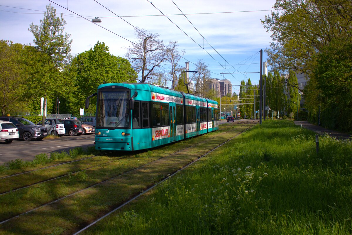 VGF Straßenbahn Frankfurt am Main Bombardier Flexity Classic S-Wagen 214 am 19.04.25 in der nähe der Uniklinik