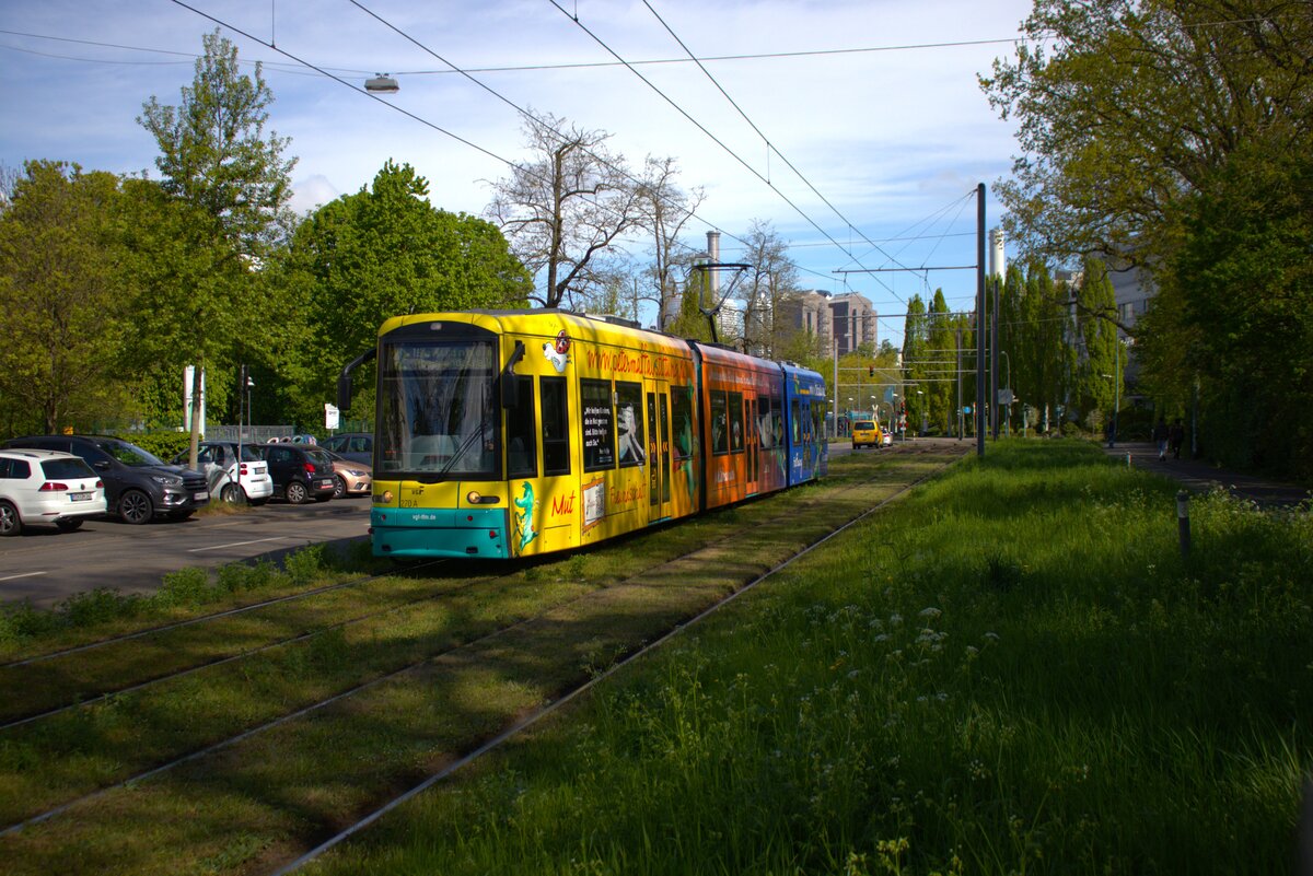 VGF Straßenbahn Frankfurt am Main Bombardier Flexity Classic S-Wagen 270 am 19.04.25 in der nähe der Uniklinik