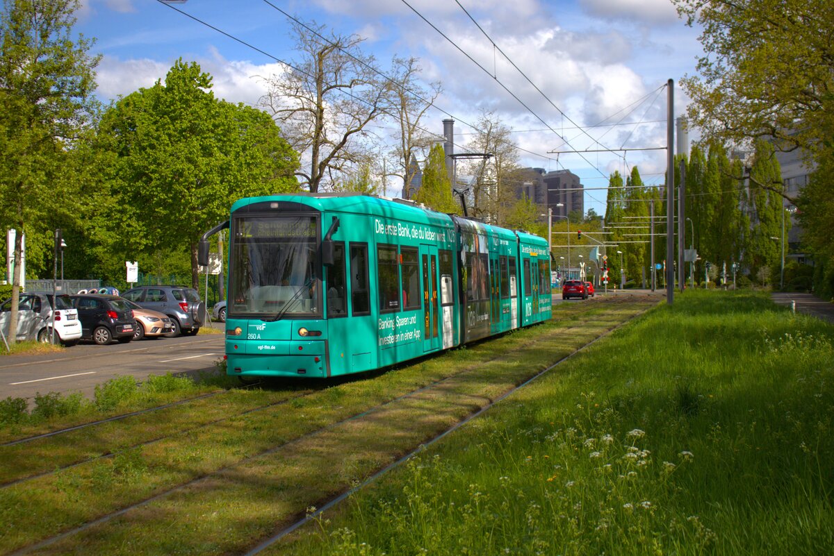 VGF Straßenbahn Frankfurt am Main Bombardier Flexity Classic S-Wagen 250 am 19.04.25 in der nähe der Uniklinik