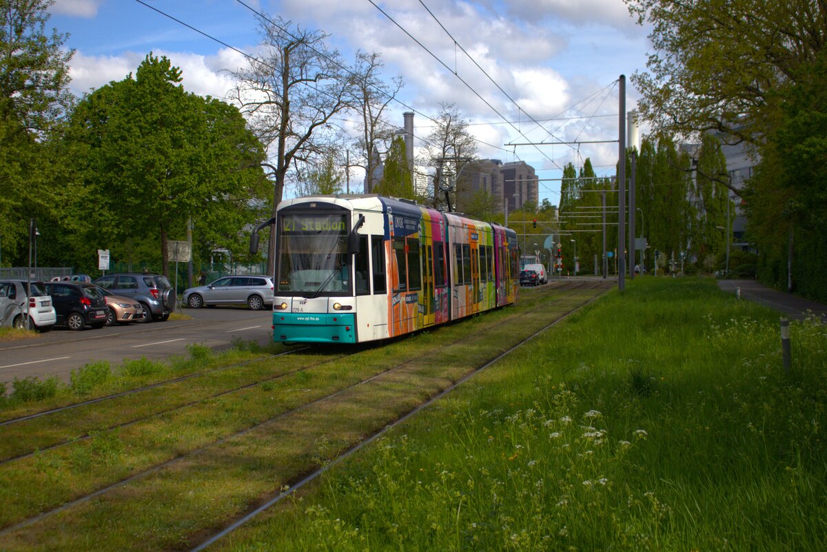 VGF Straßenbahn Frankfurt am Main Bombardier Flexity Classic S-Wagen 229 am 19.04.25 in der nähe der Uniklinik