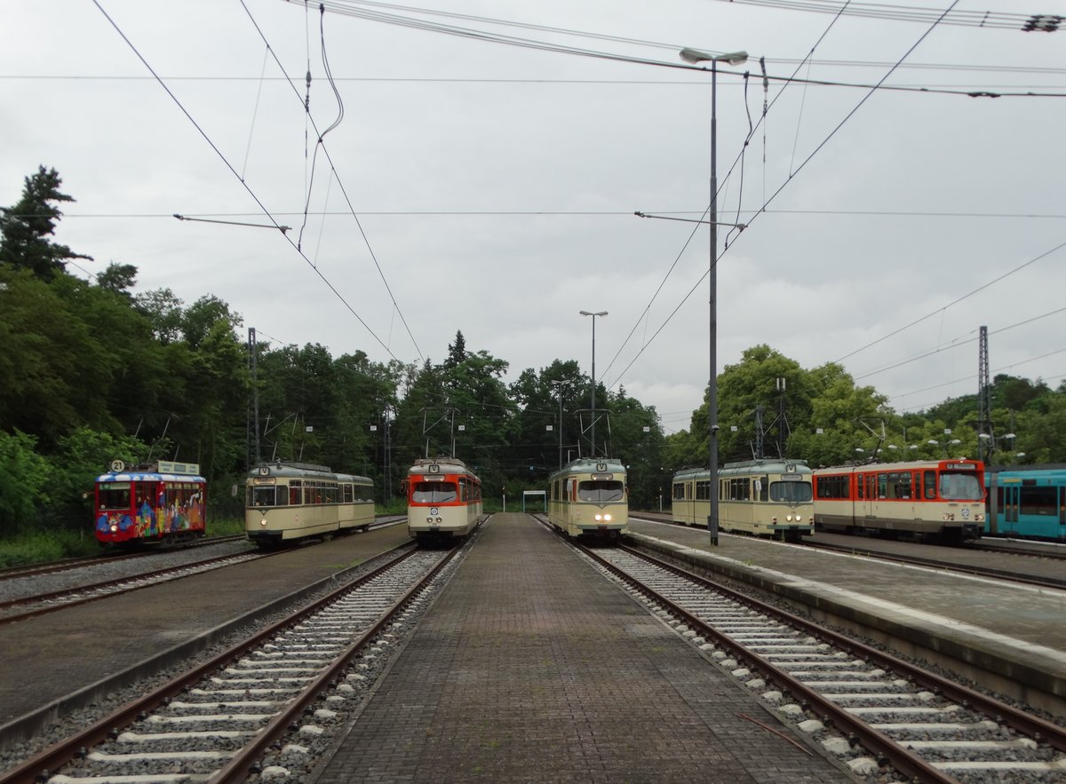 VGF Straßenbahnparade mit K-Wagen,L-Wagen,M-Wagen,N-Wagen,O-Wagen und Pt-Wagen am 25.06.16 bei der Stadion Haltestelle. Die Anlage wurde für dieses Event gesperrt und mann konnte auf den Gleisen Fotos machen 