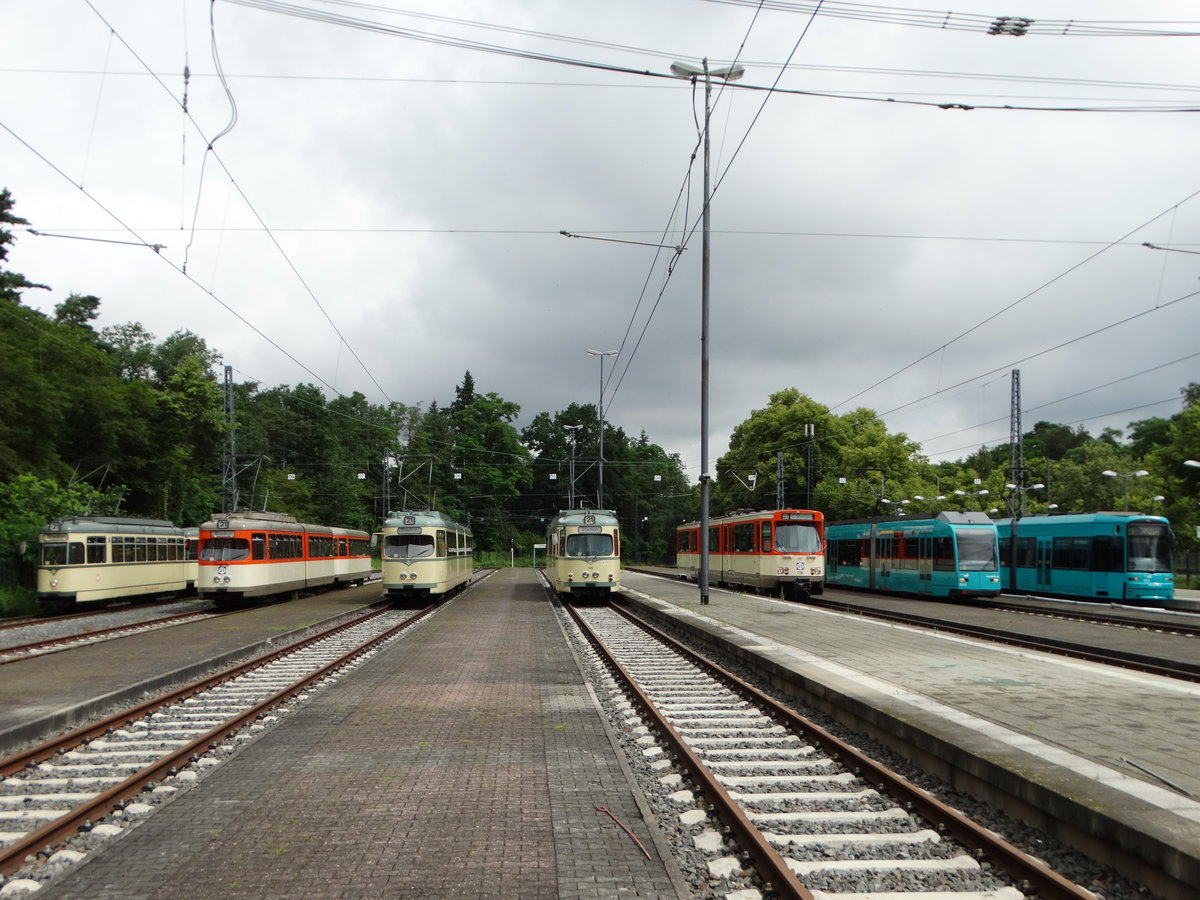 VGF Straßenbahnparade mit L-Wagen,M-Wagen,N-Wagen,O-Wagen,Pt-Wagen,R-Wagen und S-Wagen am 25.06.16 bei der Stadion Haltestelle. Die Anlage wurde für dieses Event gesperrt und mann konnte auf den Gleisen Fotos machen