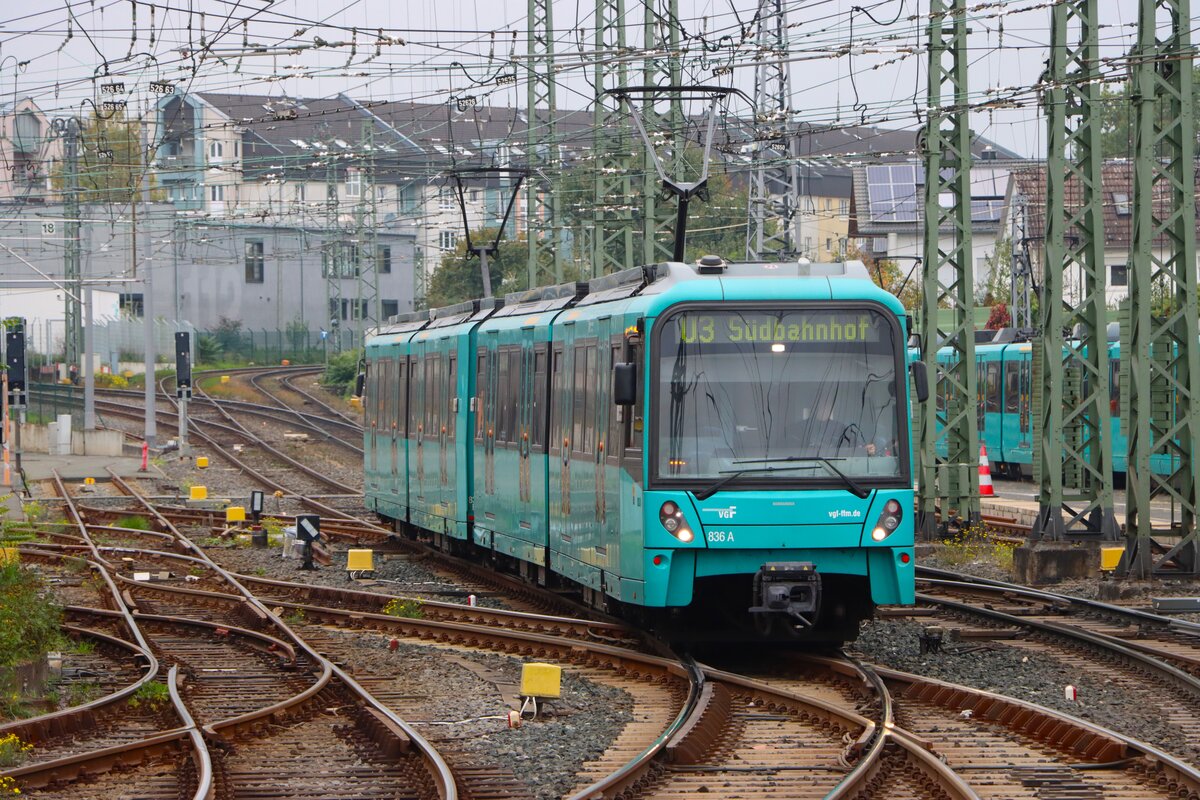 VGF U-Bahn Frankfurt am Main Bombardier Flexity Swift U5-50 Wagen 836 in Heddernheim auf der A-Strecke am 11.10.25 vom Bahnsteig aus fotografiert