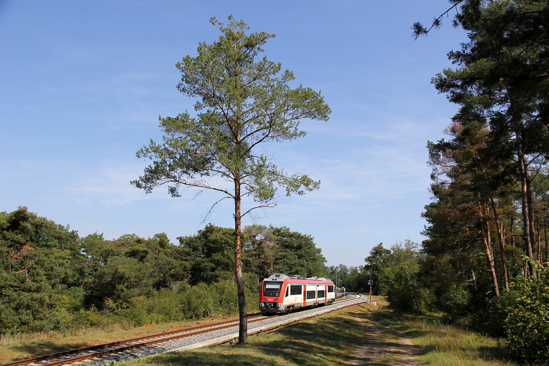 VIAS (Odenwaldbahn) VT 101 // Pfungstadt // 29. August 2017
