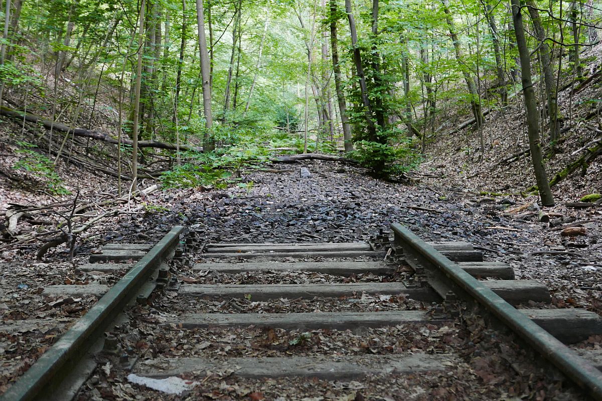 Viel Gleis ist nicht mehr zu sehen, von der 1913 in Betrieb genommenen und 1961 stillgelegten  Friedhofsbahn  zwischen Berlin-Wannsee und Stahnsdorf. Aufnahme vom 28.06.2020 im Berliner Forst Düppel.