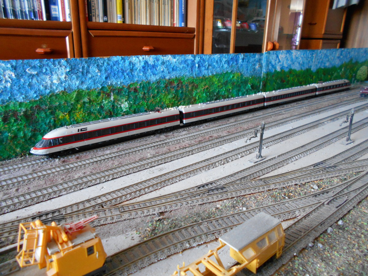 Viel Länge auf meiner H0 Anlage brauchte ich,um den Lima 403 005/006 zufotografieren.Aufnahme vom 01.Juli 2018.