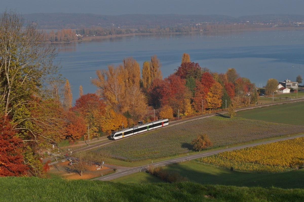 Viel Landschaft, wenig Bahn - An einem schönen Spätherbsttag befindet sich zwischen den Stationen Ermatingen und Mannenbach-Salenstein die von St. Gallen kommende S8 23839 auf der Fahrt nach Schaffhausen (01.11.2015).