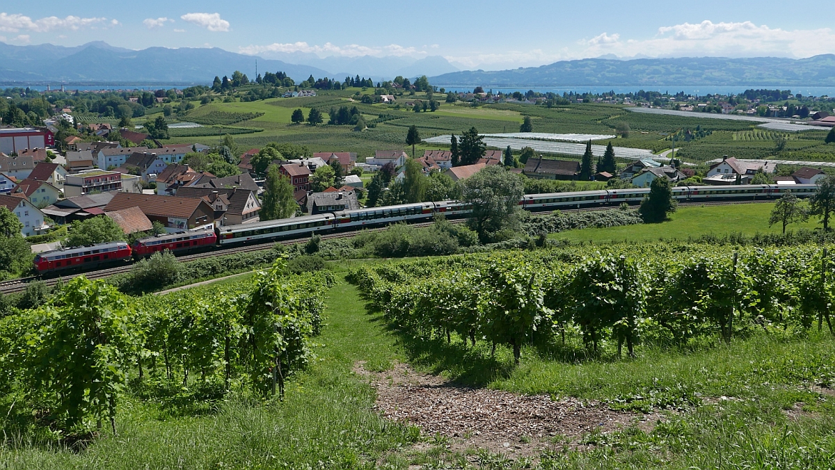 Viel Panorama, wenig Zug - Mit Blick auf den stlichen Teil des Bodensees mit der Bregenzer Bucht, den Bergen Vorarlbergs und der Schweiz sowie den Hgeln des Appenzellerlandes fhrt EC 195, Zrich - Mnchen, am 16.07.2017 an den Husern des Lindauer Ortsteils Schnau vorbei