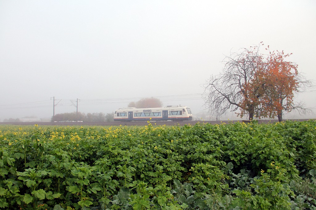 Viele RS1 der SWEG aus dem Kaiserstuhl fahren im Moment in der Ortenau, hier SWE 87369 mit VT 507  Vogtsburg  bei Ohlsbach im Oktobernebel (30.10.2015)