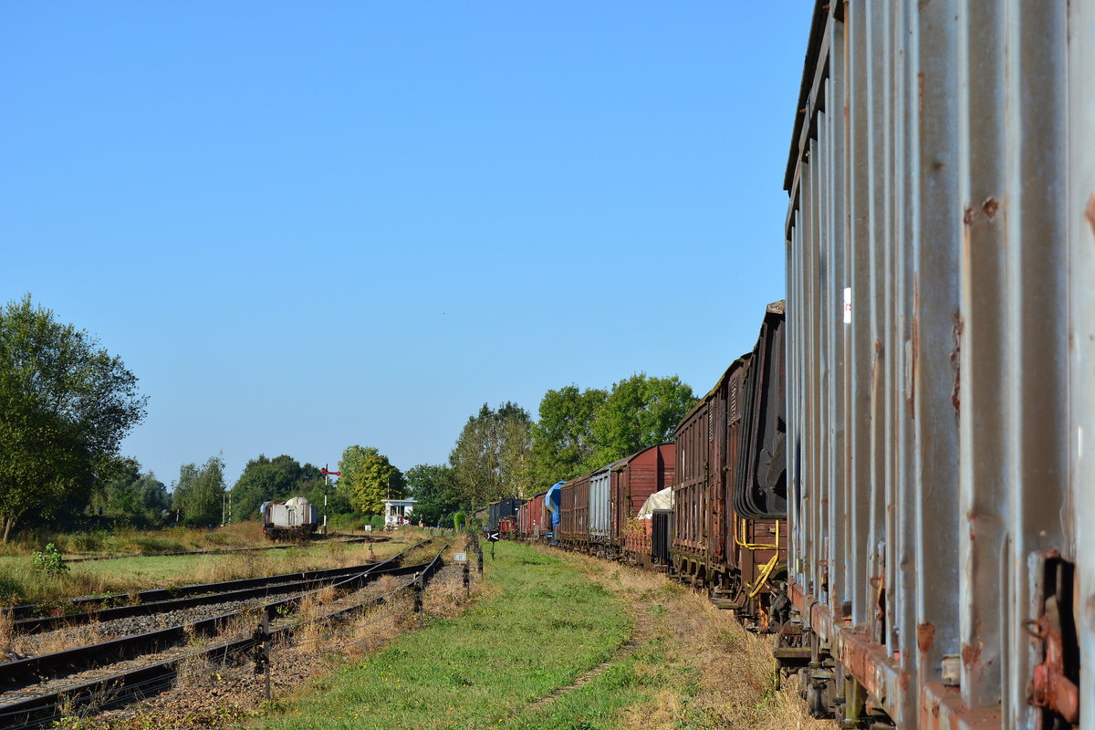 Viele viele Güterwagen trennen das Museum und den Parkplatz von einander.

Simpelveld 25.09.2016
