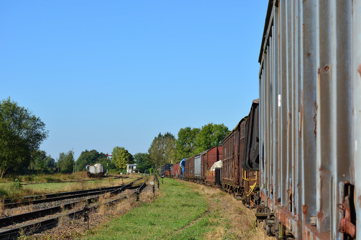 Viele viele Güterwagen trennen das Museum und den Parkplatz von einander.

Simpelveld 25.09.2016