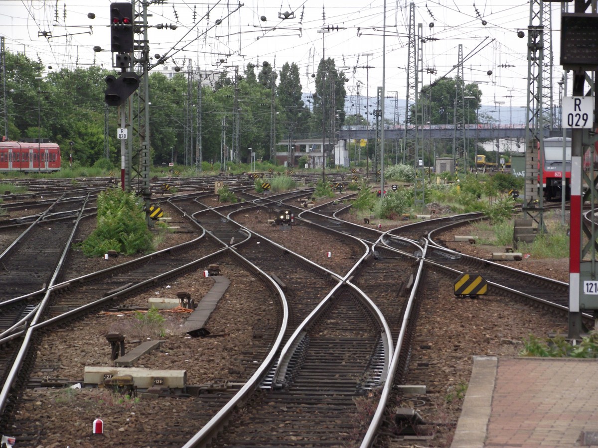 Viele Weichen gibts im Mannheimer Gleisvorfeld am 14.05.11 