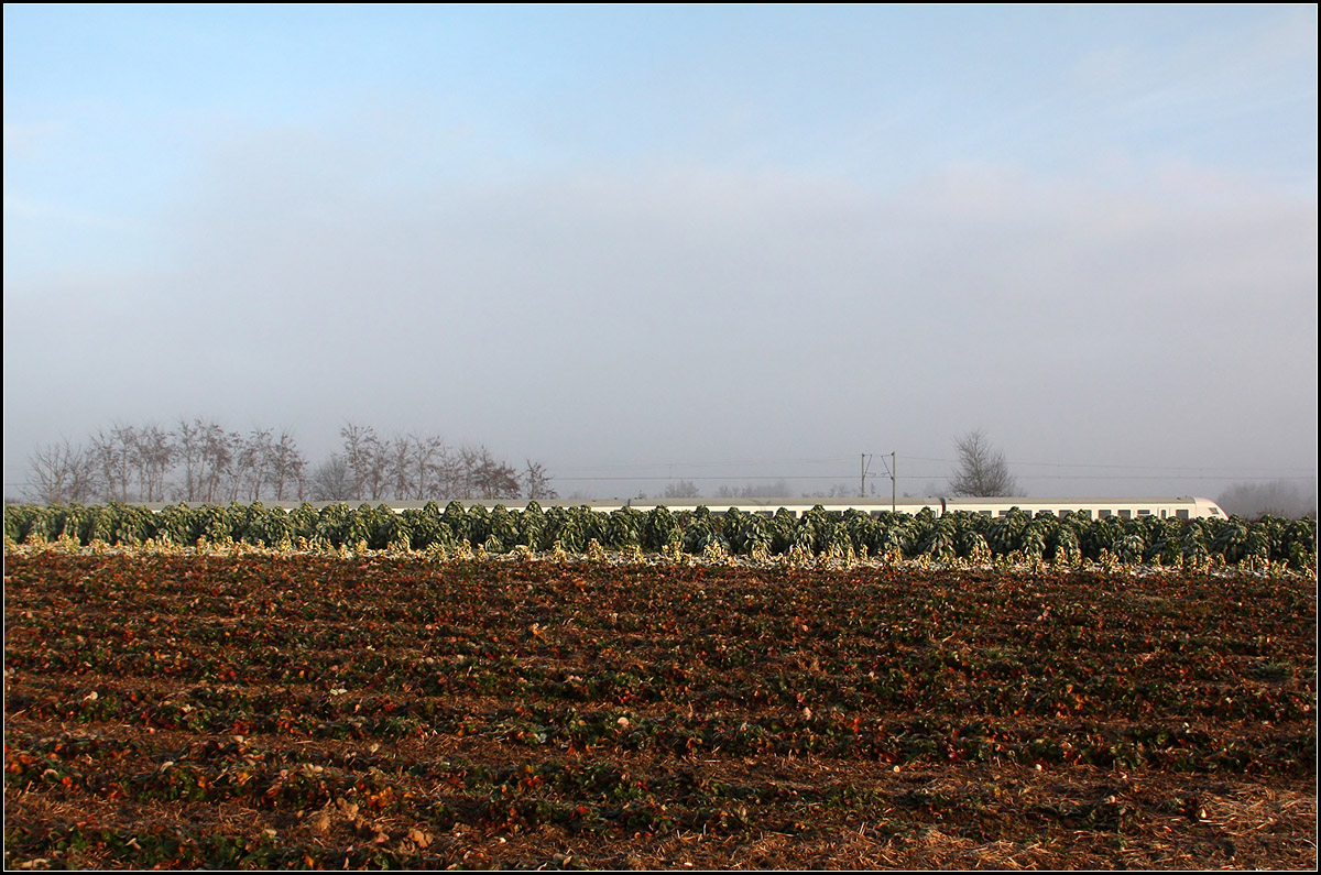 Vielleicht zu gewagt für Bahnbilder.de -

Der IC Nürnberg-Stuttgart versteckt sich zwischen Endersbach und Rommelshausen hinter dem Rosenkohl und im Einschnitt.

15.12.2016 (M)