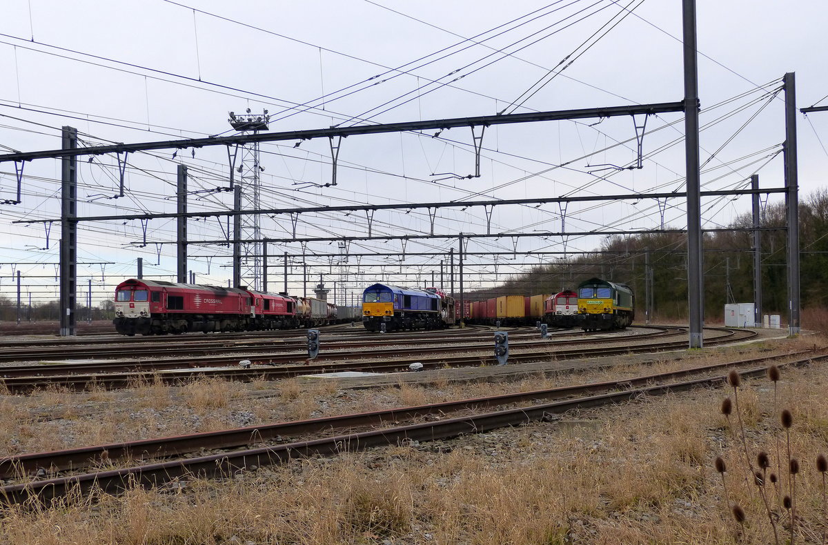 Vier Class 66 stehen in Montzen-Gare(B). 
Aufgenommen in Montzen-Gare(B). 
Bei wolken am Nachmittag vom 4.3.2018.