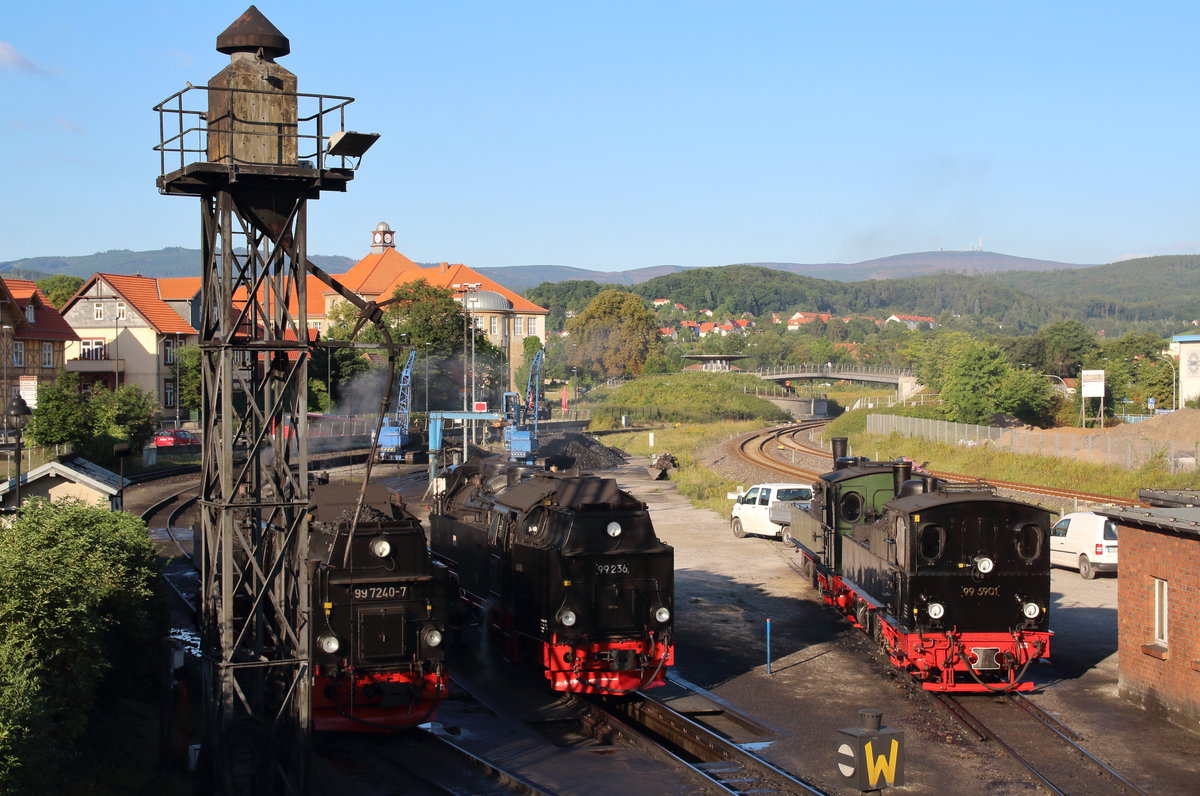 Vier Damen und der Brocken. Während die beiden Loks rechts, 99 5901 und 99 5902 den Tag bei bestem Wetter in Wernigerode verbringen dürfen, wird 99 236 für die  Tour 1  Wernigerode - Brocken - Drei Annen Hohne - Brocken - Wernigerode und schließlich als  Tour 6  noch mal zum Brocken, vorbereitet. 99 7240 steht auf dem  Schrottgleis  und wird bald von einer Diesellok in Richtung Werkstatt am Westerntor geschoben.

Wernigerode, 07. August 2017