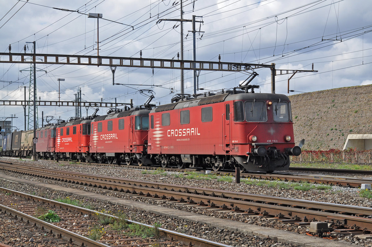 Vierfach Traktion, mit den Loks 430 114-9  Natalie , 430 111-5  Sara , 430 115-6  Ivon  und 430 112-3  Zita  durchfahren den Bahnhof Pratteln. Die Aufnahme stammt vom 20.10.2016.