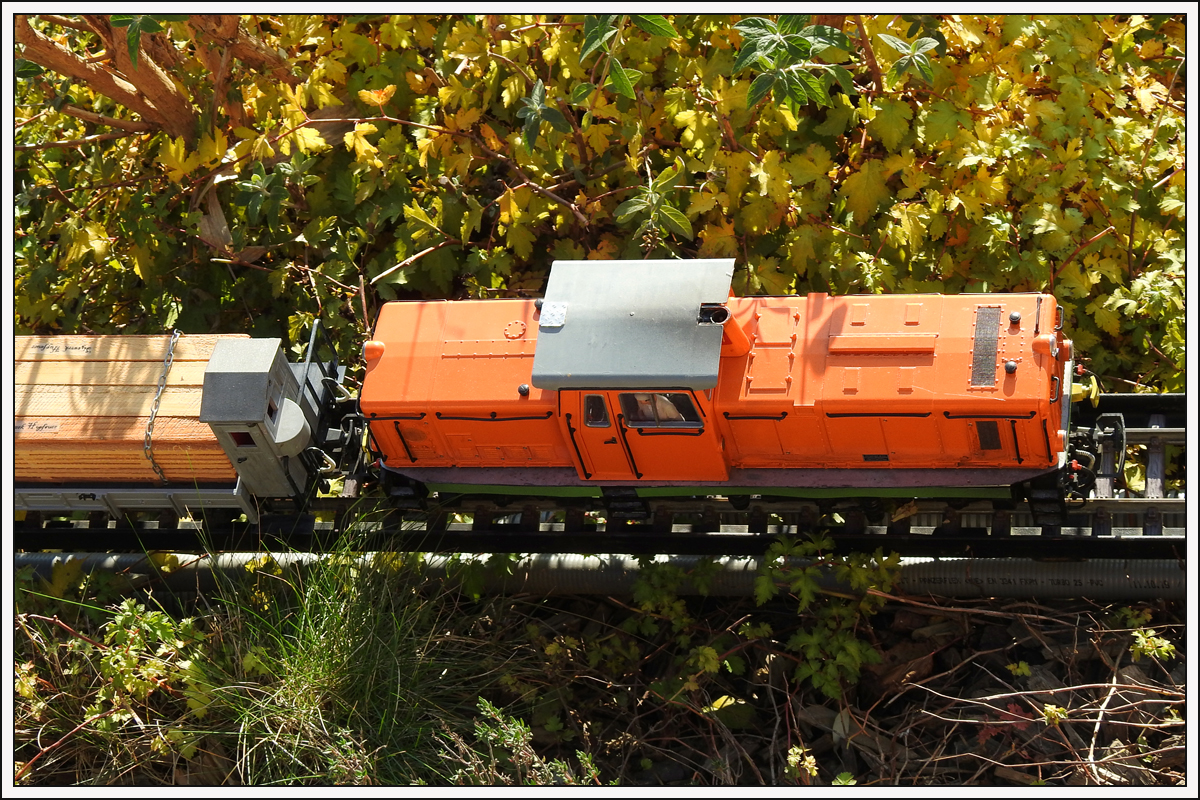 VL 21  von oben  am 25.10.20 auf der GGB unterwegs. Hier befindet sie sich bereits bei der Fahrt in die Abstellgruppe, die sich bei Karl Heinz im Keller befindet.