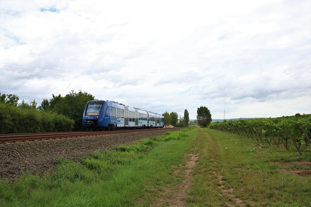 VLEXX Alstom Lint 54 (622 403) am 10.08.19 bei Bad Kreuznach